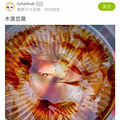 浙江人独有的快乐，只要2块5，还有最后几天_2