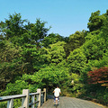 青绿宜居、山水人家_3