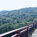 青绿宜居、山水人家_1