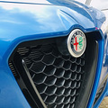 ����С�ڵ��׵ľ���ѡ����ALFA ROMEO STELVIO_4