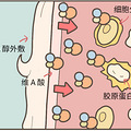 从不抗老的男生，凭啥比女生更年轻？！_1