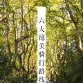 杭城10分钟骑行，带你畅游不一样的西湖！_0