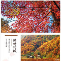 南京秋韵栖霞山赏红枫，止马岭千亩林海观晨雾，练山草原放风筝！_2