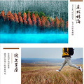 南京秋韵栖霞山赏红枫，止马岭千亩林海观晨雾，练山草原放风筝！_3