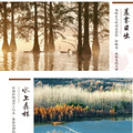 南京秋韵栖霞山赏红枫，止马岭千亩林海观晨雾，练山草原放风筝！_4