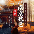 南京秋韵栖霞山赏红枫，止马岭千亩林海观晨雾，练山草原放风筝！_0