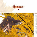 南京秋韵栖霞山赏红枫，止马岭千亩林海观晨雾，练山草原放风筝！_1