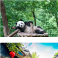 四川成都旅游攻略_4