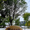 游浙江（三十一）之千岛湖啤酒小镇_4