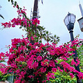 我的2020年终旅行盘点_1