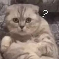 杭城十五个免费的一日游户外景点，你想去打卡吗？_1