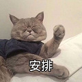 杭城十五个免费的一日游户外景点，你想去打卡吗？_2