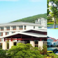 上海团建活动推荐地点_上海一日团建地方推荐 | 周边游团建_5