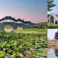 上海团建活动推荐地点_上海一日团建地方推荐 | 周边游团建_3