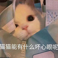 家居服价格只需旗舰店的1/3？今年春节你还穿吗_5