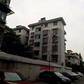三塘南村精装修，多房朝南，采光好，全明户型_5