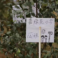 莫干山第六届亲子植树节开始招募啦，一起为莫干山种植绿色的梦想_4