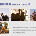 杭州下沙骆驼园团建基地，烧烤+骑骆驼+真人cs+卡丁车+钓鱼_0