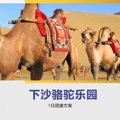 杭州下沙骆驼园团建基地，烧烤+骑骆驼+真人cs+卡丁车+钓鱼_4