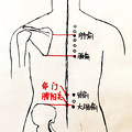中医减肥的刮痧到底有没有用？_1