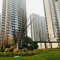 炒房资本做局下一站？千万别碰市北次新房，小心高价接盘_0