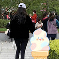 今日份的瓜丨网友偶遇angelababy带小海绵赏花，张艺谋_0