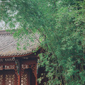 《我的姐姐》取景地曝光！这个城市藏着14亿人向往的生活..._2