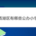 西湖区有哪些公办小学
