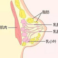 【名医说】频繁按摩按出乳腺癌？这些乳房知识你真的应该收藏_2