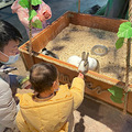 【亲子游记】打卡遛娃圣地CuteZoo酷嗒动物乐园_3