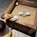 【亲子游记】打卡遛娃圣地CuteZoo酷嗒动物乐园_4