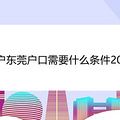入户东莞户口需要什么条件2021