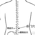 腰痛的受不了？艾灸这几个穴位吧，效果不要太好！_4