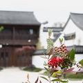 闲林老街游_1