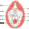 极致体验但严重威胁女性健康的性行为_3