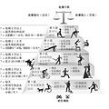 女子“突击式”跳绳骨折，长期不运动的人突然锻炼会怎样？_0