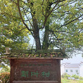 新叶古村（一）之世外桃源_5