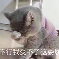 胸大和胸小穿同一件衣服，差距到底有多大？_3