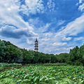 别样的新叶古村_0
