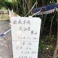 杭州有个地方号称“小济州岛”？现场的人却说：来打卡的不要命了_0