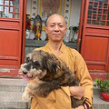 生活在古寺里的狗子，常年听高僧念经一脸“佛”相，网友：看来熏_1
