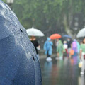天气｜今天有中到大雨，局部暴雨，未来几天你可能会想念太阳.