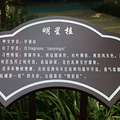 开了！今年第一缕桂花香正在杭城弥漫_0