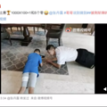 看了《披荆斩棘的哥哥》，我决定从今天开始自律锻炼养生！_4
