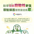 新学期，浙江9岁小女孩一做数学题眼睛就又疼又痒，肿到睁不开！_3