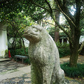 满陇桂雨一日游_1
