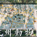 暂时忘记银杏红枫！人们对这座城的秋日念想，都在看不见的风景里_0