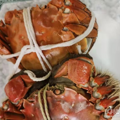 每日一菜  1