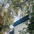 杨公堤周围游_0