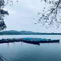 杨公堤周围游_1
